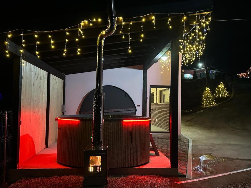 Pensiunea Auras Dorna Arini Exterior foto